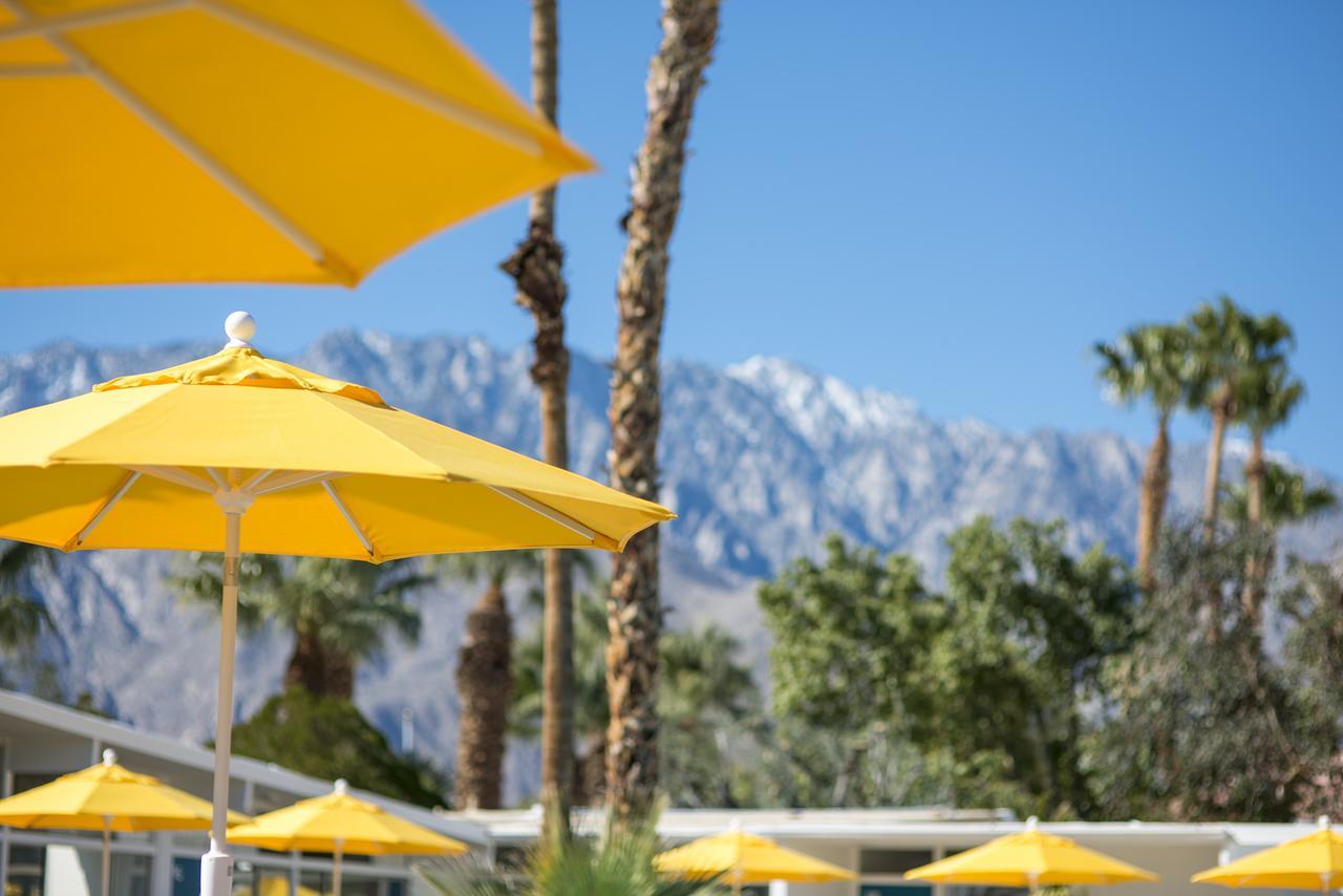 The Monkey Tree Hotel Palm Springs Kültér fotó